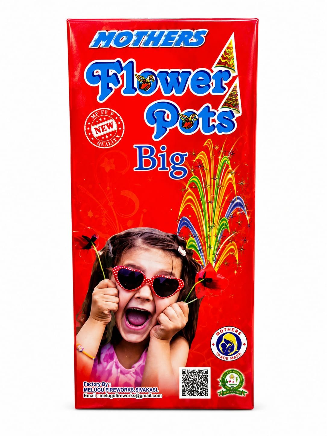 FLOWER POTS BIG